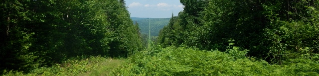 Éclaircie le long des lignes Sud-Ouest et Sud