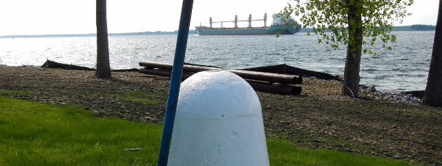 A sentinel looking over the boundary in St. Lawrence River